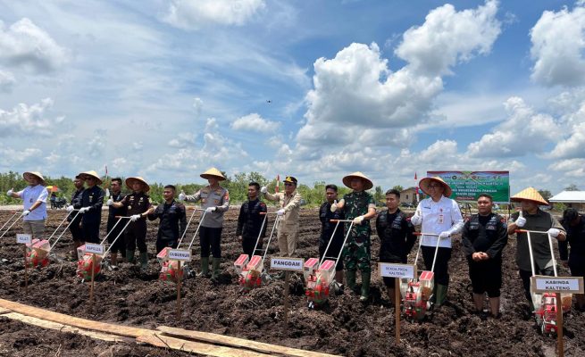 Komitmen Dukung Ketahanan Pangan Nasional, Kapolda Kalteng Targetkan 136 Hektare Lahan Siap Ditanami Jagung di Kuartal IV