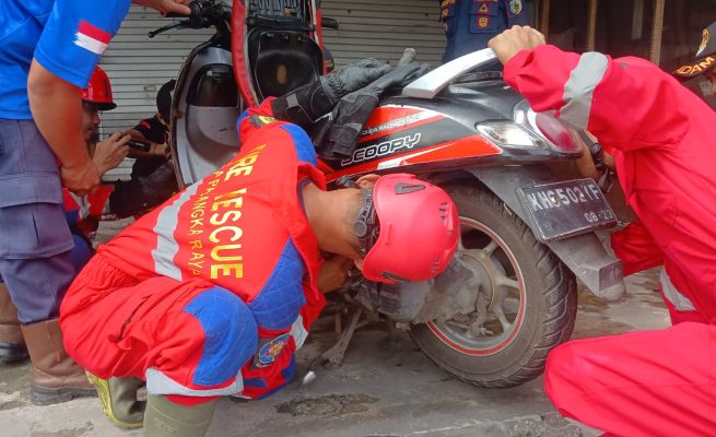 Anak Ular Piton Masuk Box Motor, Rescue Damkar Palangka Raya Lakukan Evakuasi Cepat