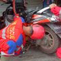 Anak Ular Piton Masuk Box Motor, Rescue Damkar Palangka Raya Lakukan Evakuasi Cepat