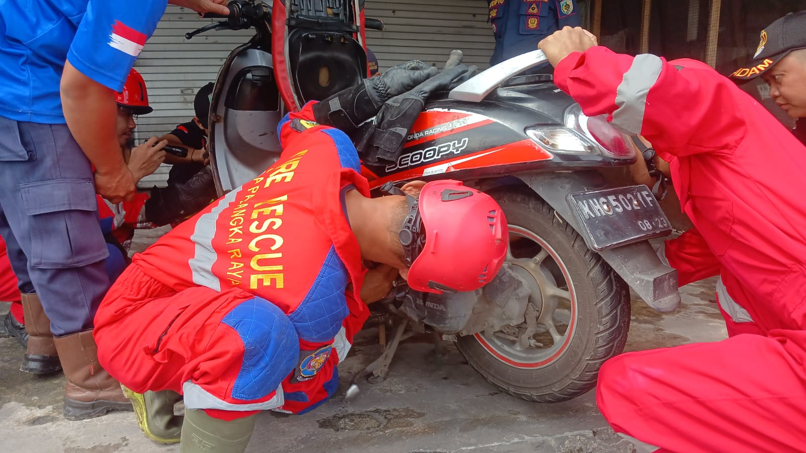 Anak Ular Piton Masuk Box Motor, Rescue Damkar Palangka Raya Lakukan Evakuasi Cepat