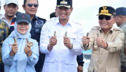 Gubernur Agustiar Pimpin Serangkaian Kegiatan Strategis di Sukamara, dari Panen Udang hingga Penanaman Cemara Laut