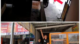Meresahkan! Pencuri Burung Murai di Tilung Induk Terekam CCTV, Korban Rugi Jutaan Rupiah