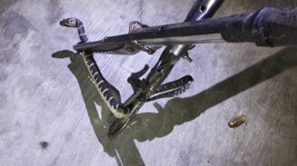 Penghuni Kos Kaget Temukan Ular Tedung Berbisa di Depan Pintu Kamar, Tim Rescue Damkar Palangka Raya Sigap Lakukan Evakuasi