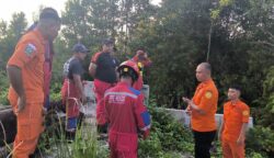 Pria 38 Tahun Tersesat di Hutan Saat Survei Lahan, Tim SAR Gabungan Bergerak Cepat dan Temukan Korban Selamat