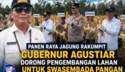 Gubernur Agustiar Dorong Swasembada Pangan Saat Panen Raya Jagung di Rakumpit