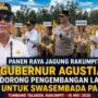Gubernur Agustiar Dorong Swasembada Pangan Saat Panen Raya Jagung di Rakumpit