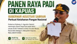 Gubernur Agustiar Sabran Pastikan Dukungan Berkelanjutan bagi Petani Melalui Program Strategis Usai Panen Raya di Kapuas