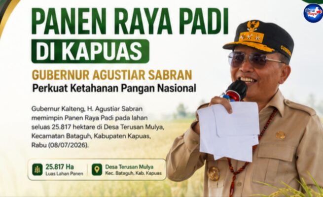 Gubernur Agustiar Sabran Pastikan Dukungan Berkelanjutan bagi Petani Melalui Program Strategis Usai Panen Raya di Kapuas