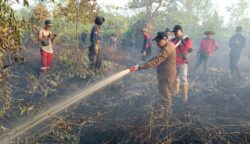 Jalankan Arahan Gubernur, Dishut Kalteng Gerak Cepat Kerahkan Tim Dalkarhutla di Tumbang Nusa Pulang Pisau