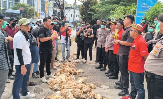 Aksi Jilid II Gerakan Palangka Raya Gelap, Peternak Ayam Buang Bangkai di Kantor PLN Usai Alami Kerugian Besar Akibat Listrik Padam