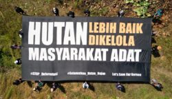Di Tengah Ancaman Deforestasi, Dayak Taboyan Desa Tongka Berjuang Pertahankan Hutan dan Adat