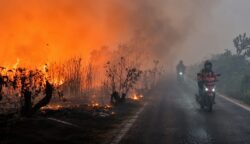 Asap Mulai Menyelimuti Kalteng, Warga Minta Langkah Antisipasi Karhutla Digencarkan