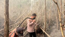 Titik Hotspot Muncul Dekat Jalur Utama Trans Kalimantan, Penanganan Karhutla di Barsel Diperketat