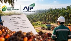 Agrinas Buka Suara Soal KSO Sawit dengan PT AJP, Pastikan Hubungan Kontrak Masih Berjalan