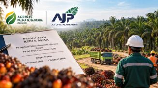 Agrinas Buka Suara Soal KSO Sawit dengan PT AJP, Pastikan Hubungan Kontrak Masih Berjalan