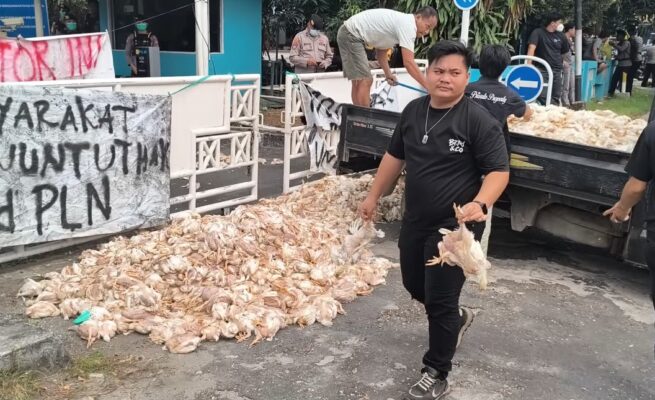 Gerakan Palangka Raya Gelap Jilid VII Bawa Ribuan Bangkai Ayam ke Kantor PLN UP3, Tuntut Pemadaman Bergilir Dihentikan