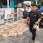 Gerakan Palangka Raya Gelap Jilid VII Bawa Ribuan Bangkai Ayam ke Kantor PLN UP3, Tuntut Pemadaman Bergilir Dihentikan